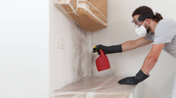 Professional Crawl Space Mold Removal technician working in The Colony, TX