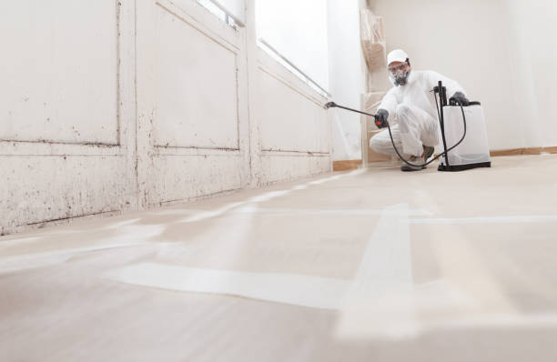 24/7 Emergency Crawl Space Mold Removal experts in The Colony, TX